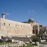 archeological_garden