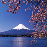 mt_fuji