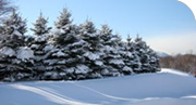 japao_hokkaido